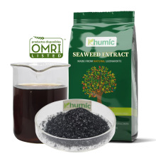 seaweed extract liquid organic fertilizer 100% natural humic acid